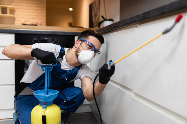 Best Pest Control Near Me in Marco Island, FL