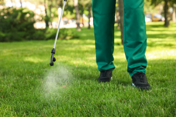 Best Local Pest Control Services  in Marco Island, FL