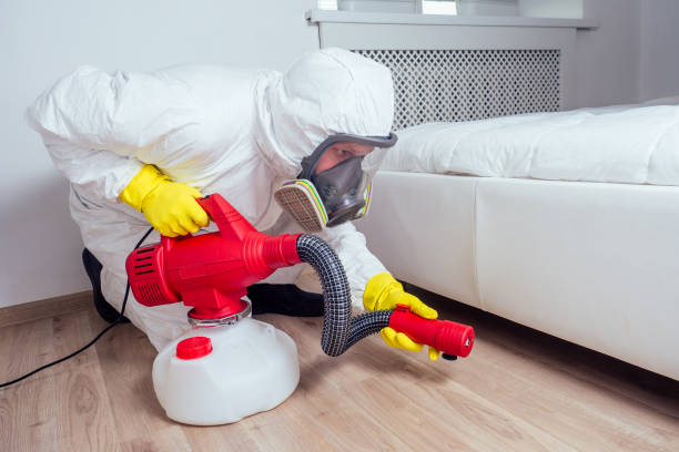 Best Wasp Removal Services  in Marco Island, FL