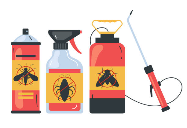 Trusted Marco Island, FL Pest Control Experts
