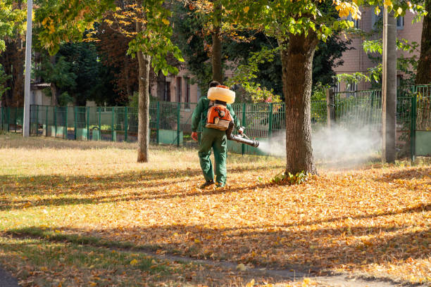 Best Best Pest Control Companies  in Marco Island, FL