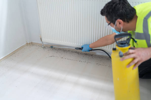 Best Pest Prevention Services  in Marco Island, FL